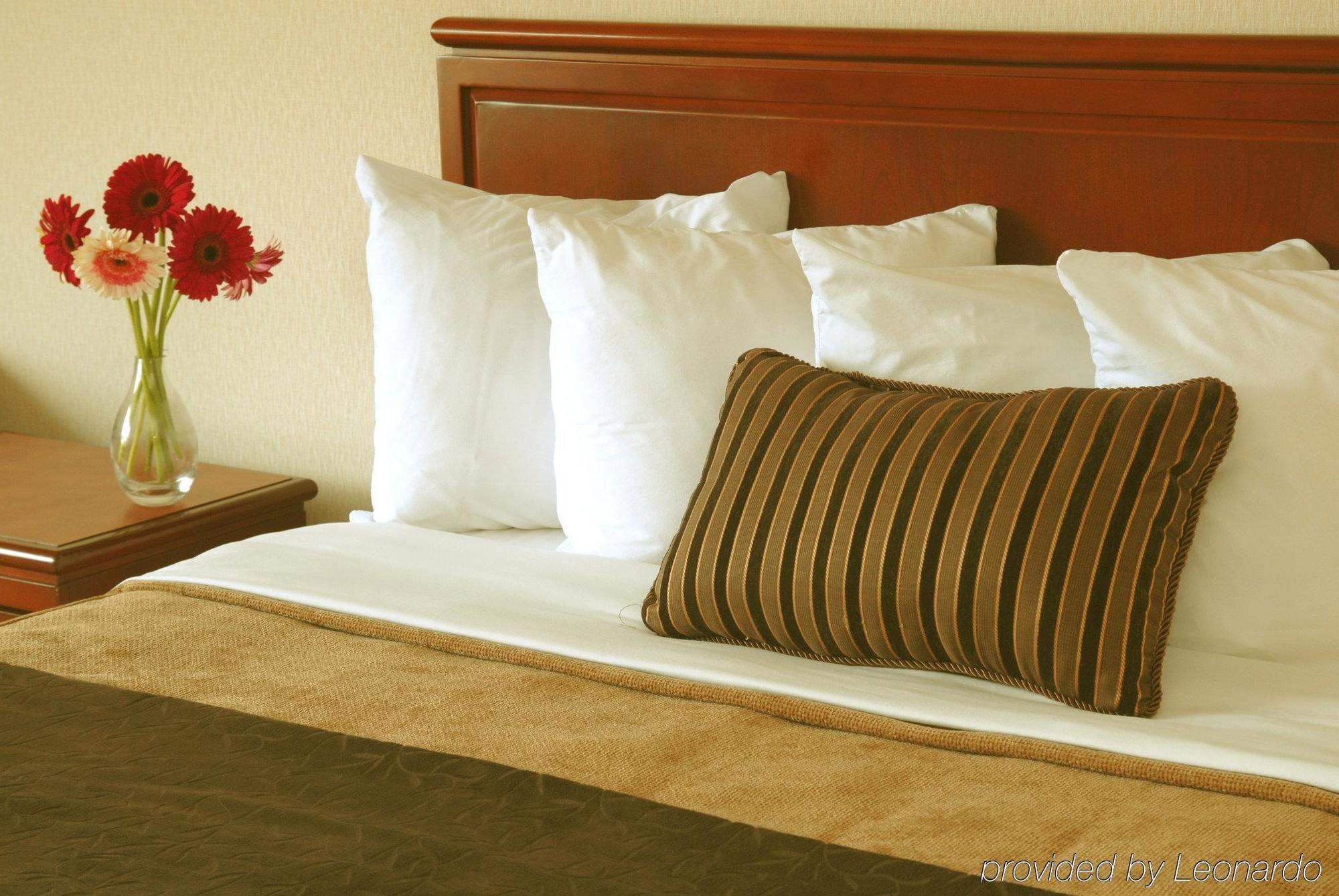 ホテル Doubletree By Hilton St. John'S Harbourview 部屋 写真
